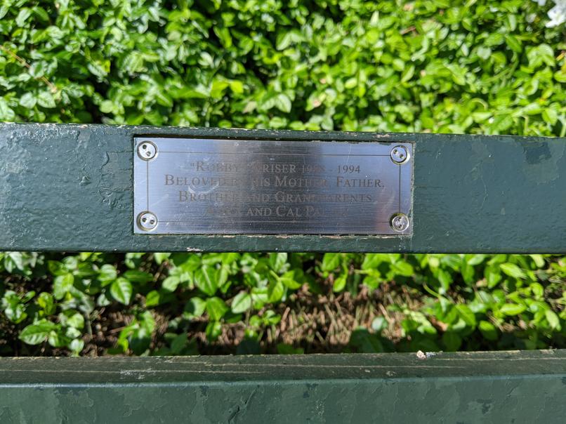 I saw this bench in Central Park