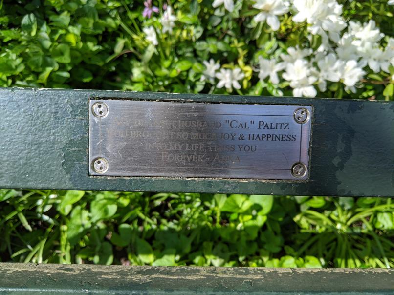 I saw this bench in Central Park