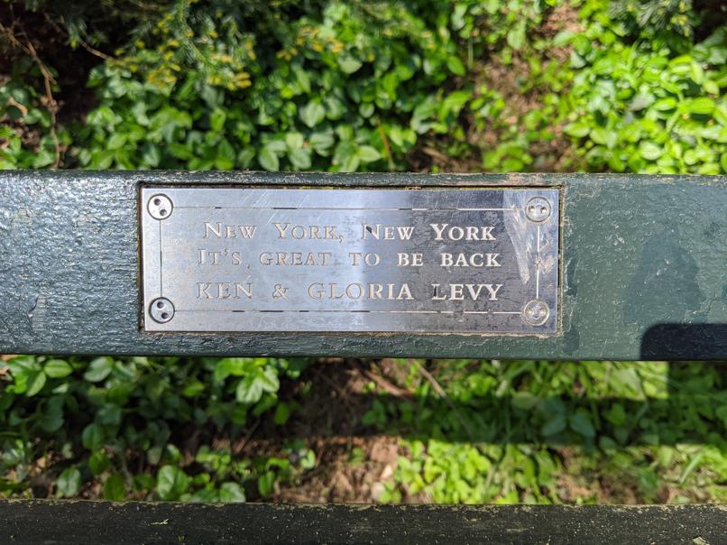 I saw this bench in Central Park