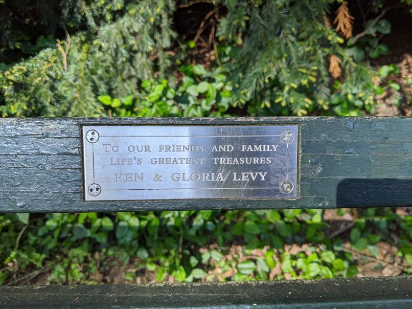 I saw this bench in Central Park