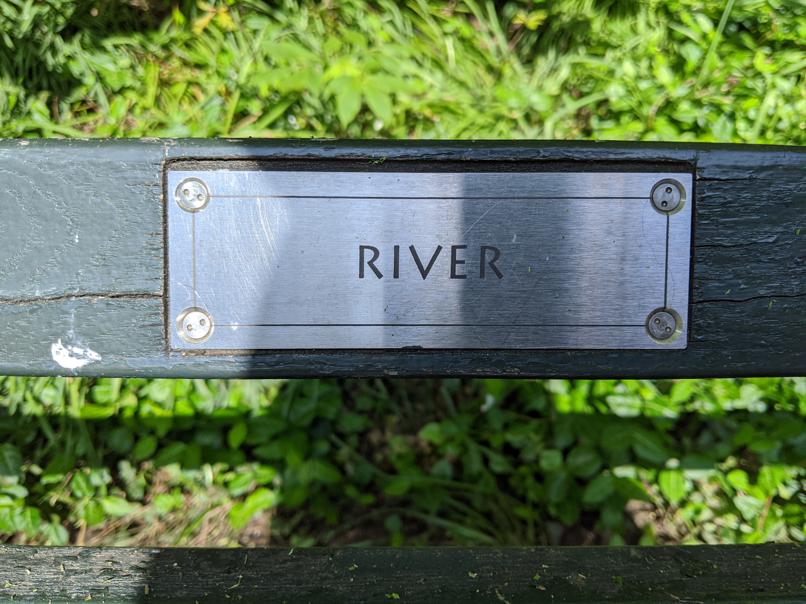 I saw this bench in Central Park