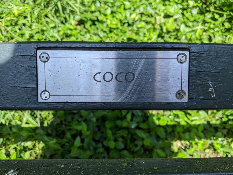 I saw this bench in Central Park