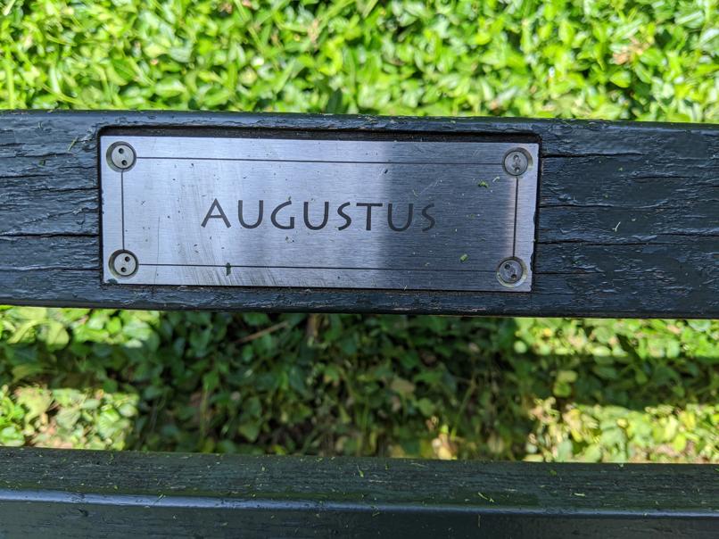 I saw this bench in Central Park