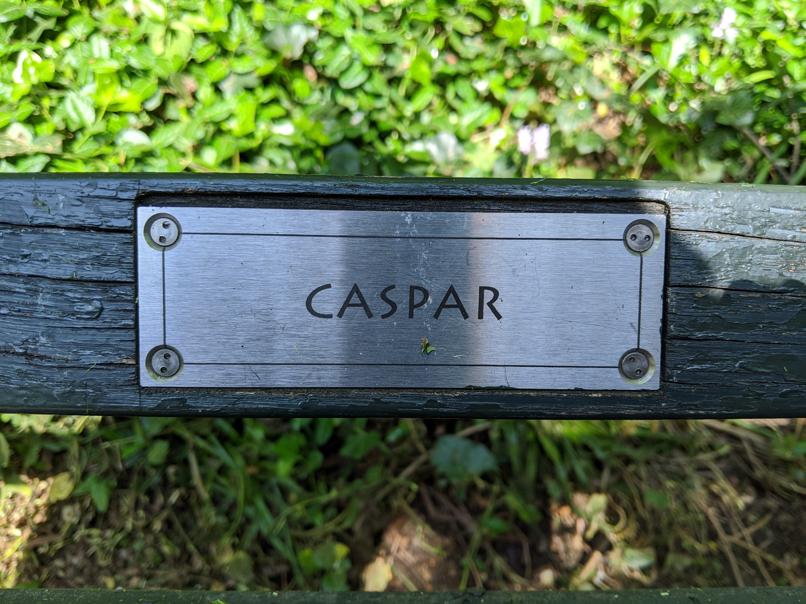 I saw this bench in Central Park