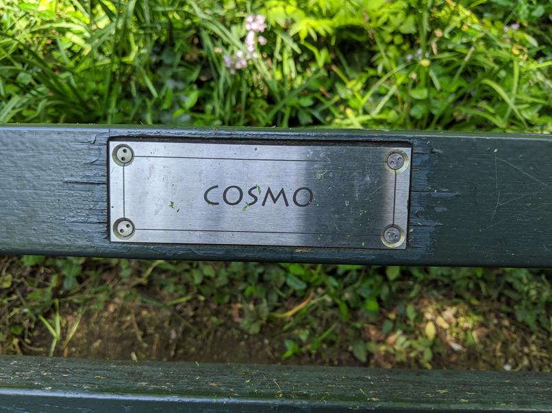 I saw this bench in Central Park