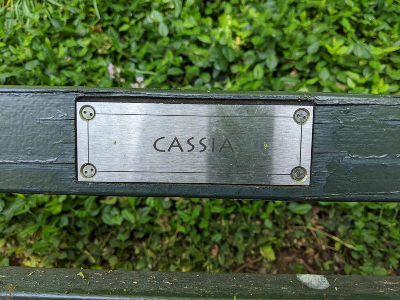 I saw this bench in Central Park