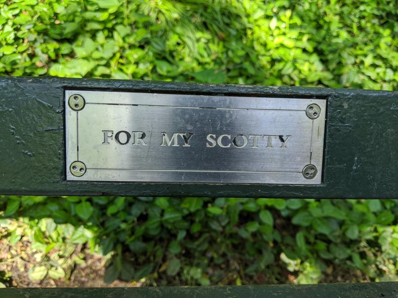 I saw this bench in Central Park