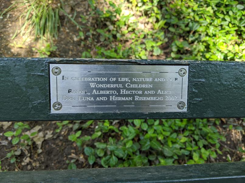 I saw this bench in Central Park