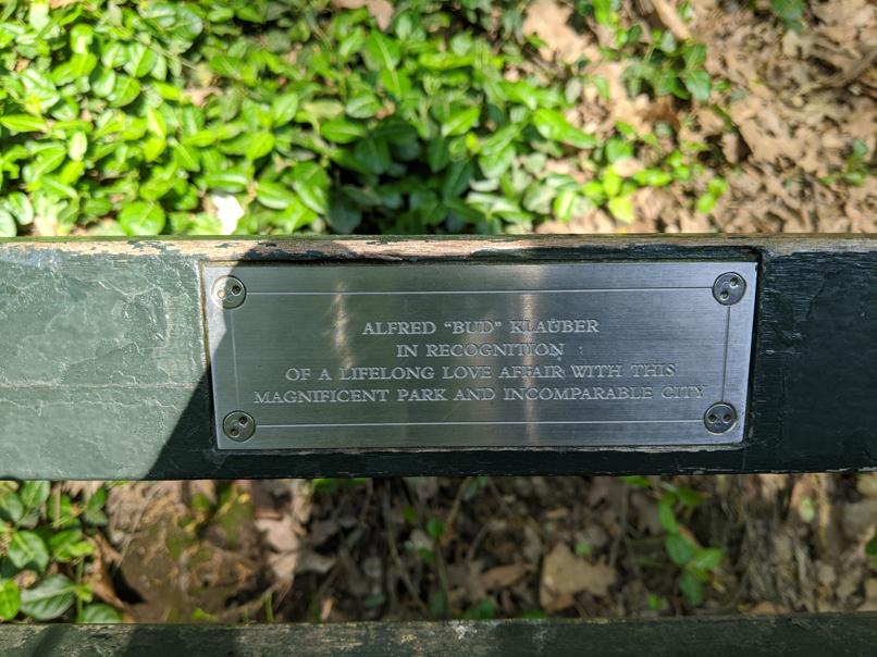 I saw this bench in Central Park