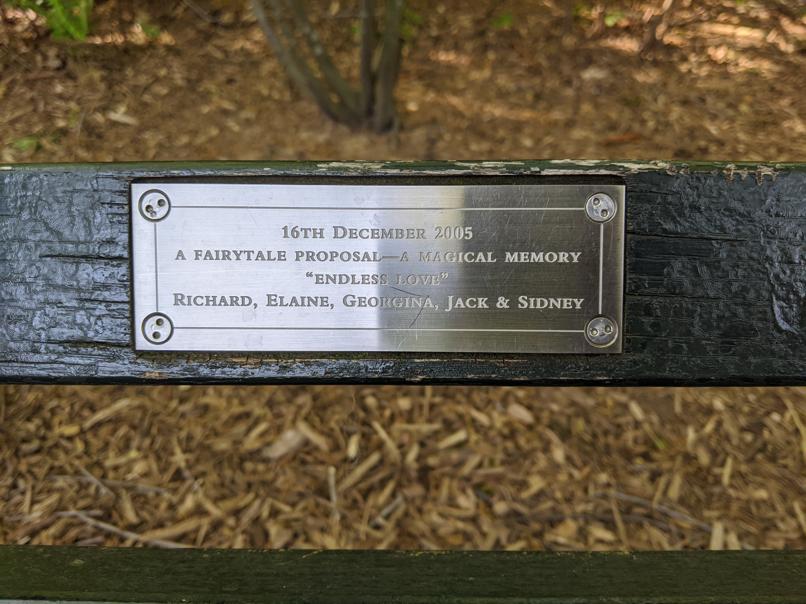 I saw this bench in Central Park