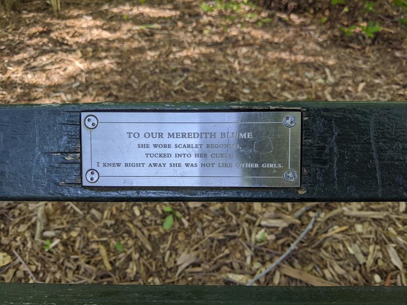 I saw this bench in Central Park