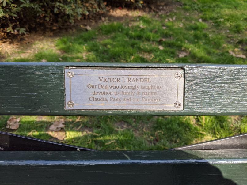 I saw this bench in Central Park