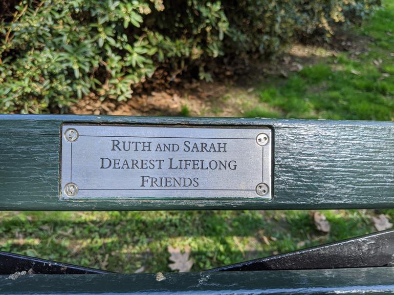 I saw this bench in Central Park