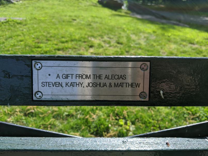 I saw this bench in Central Park