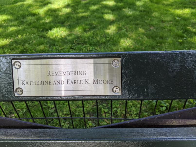 I saw this bench in Central Park