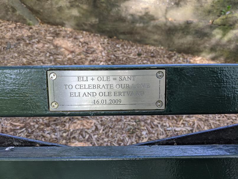 I saw this bench in Central Park