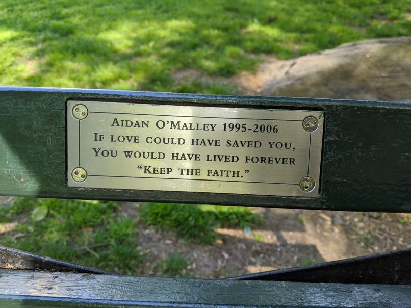 I saw this bench in Central Park