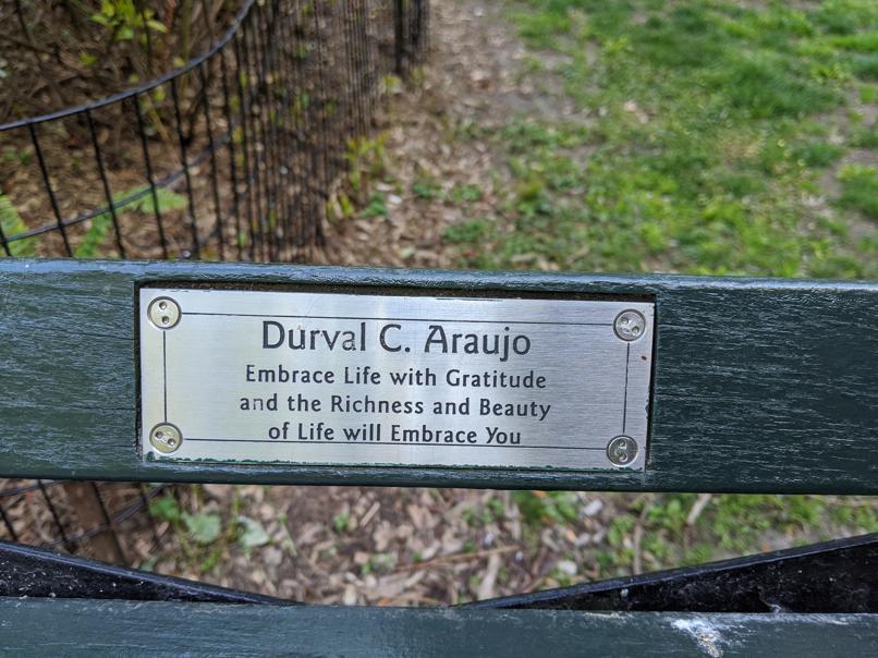 I saw this bench in Central Park