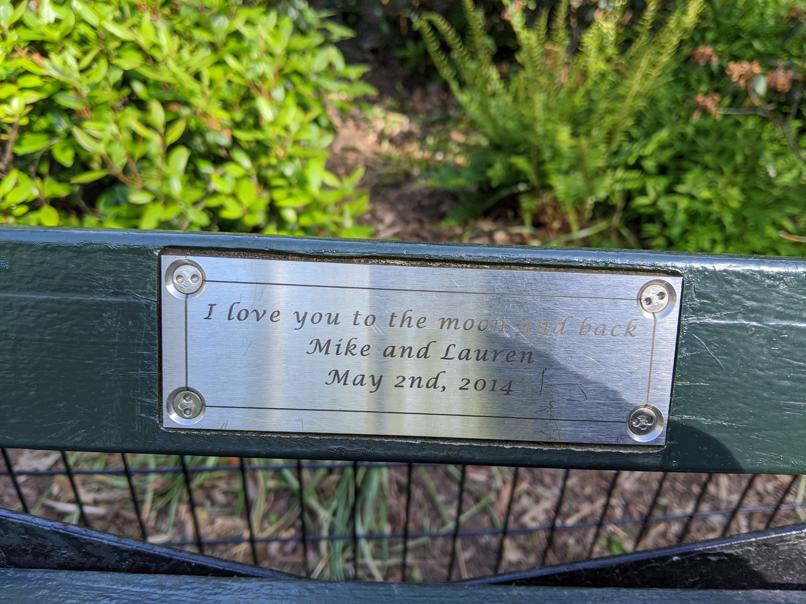 I saw this bench in Central Park