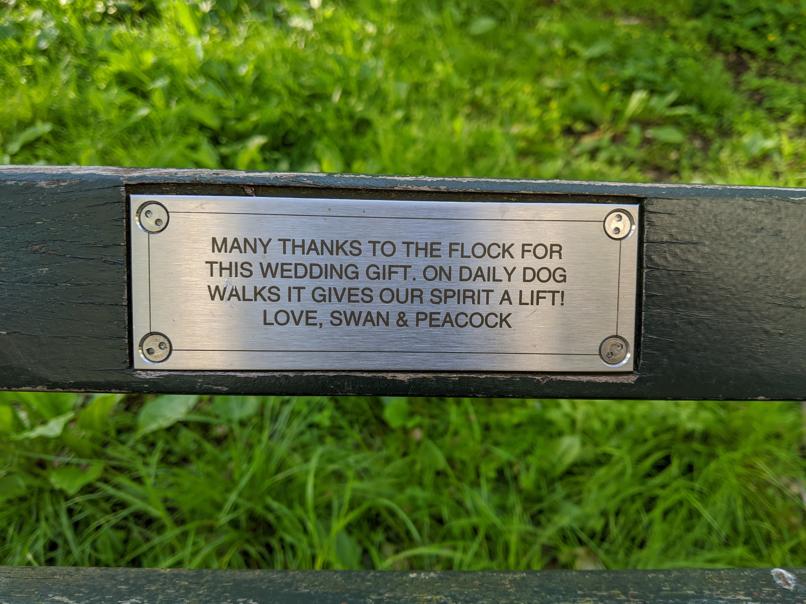 I saw this bench in Central Park