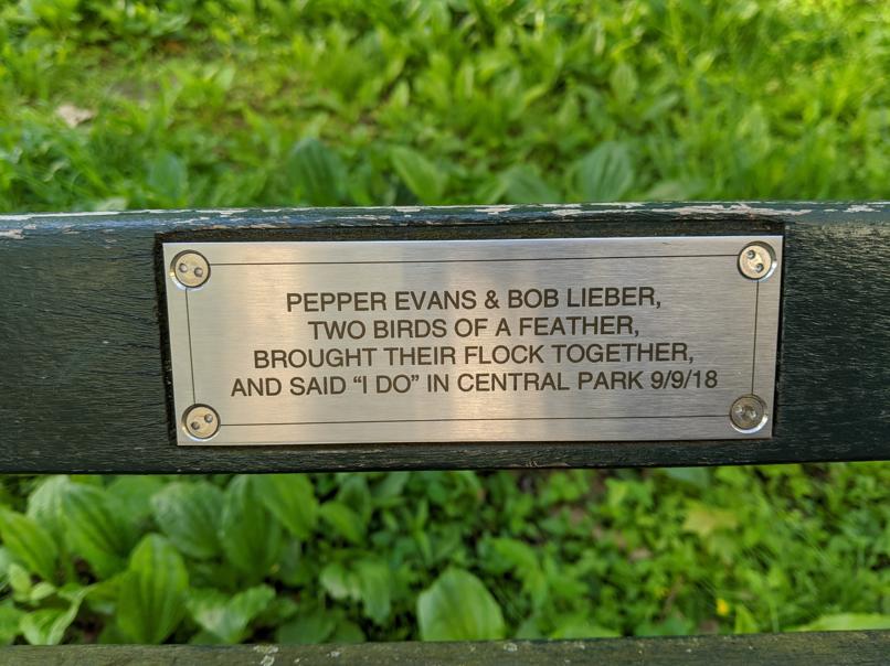 I saw this bench in Central Park