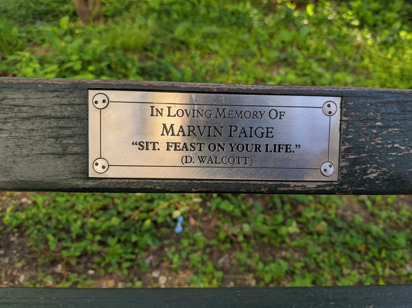 I saw this bench in Central Park