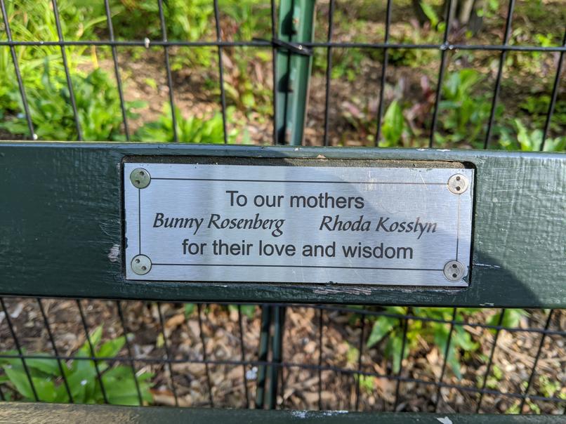 I saw this bench in Central Park