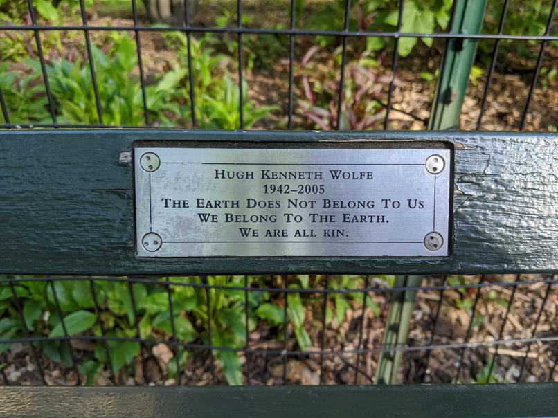 I saw this bench in Central Park