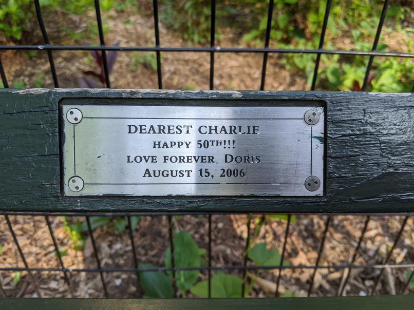 I saw this bench in Central Park