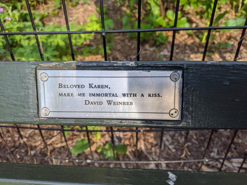 I saw this bench in Central Park