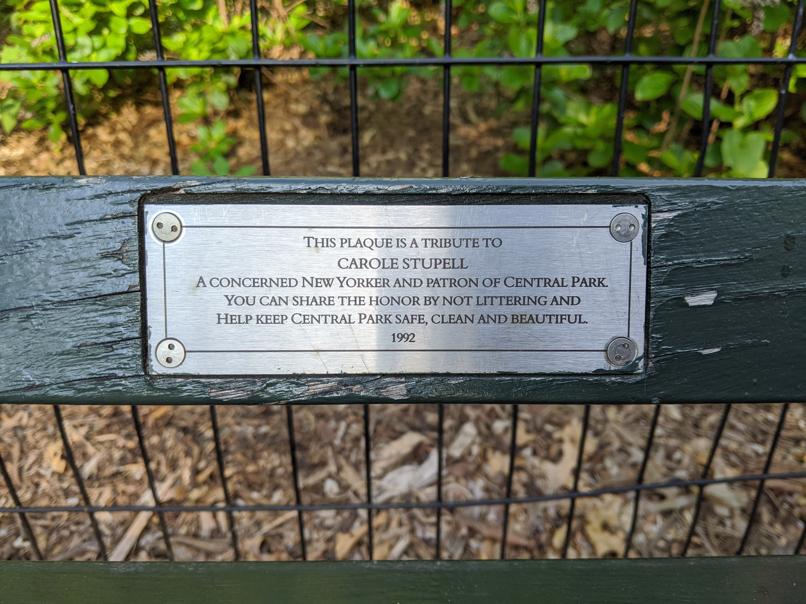 I saw this bench in Central Park