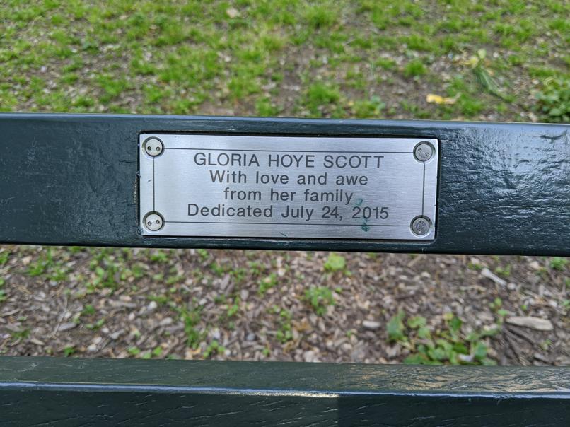 I saw this bench in Central Park