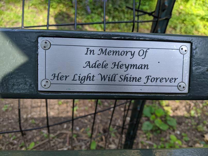 I saw this bench in Central Park