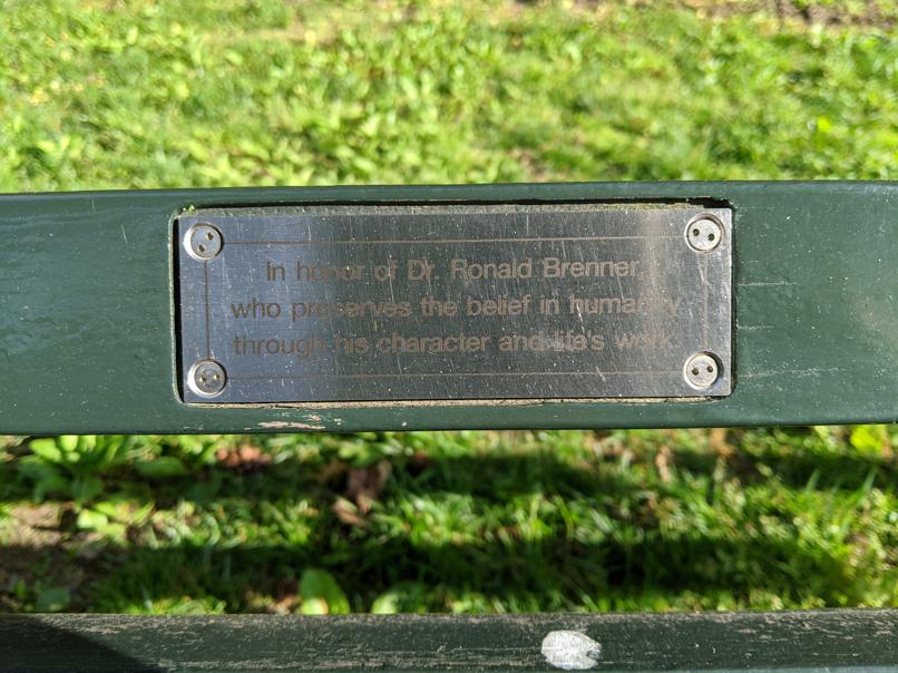 I saw this bench in Central Park