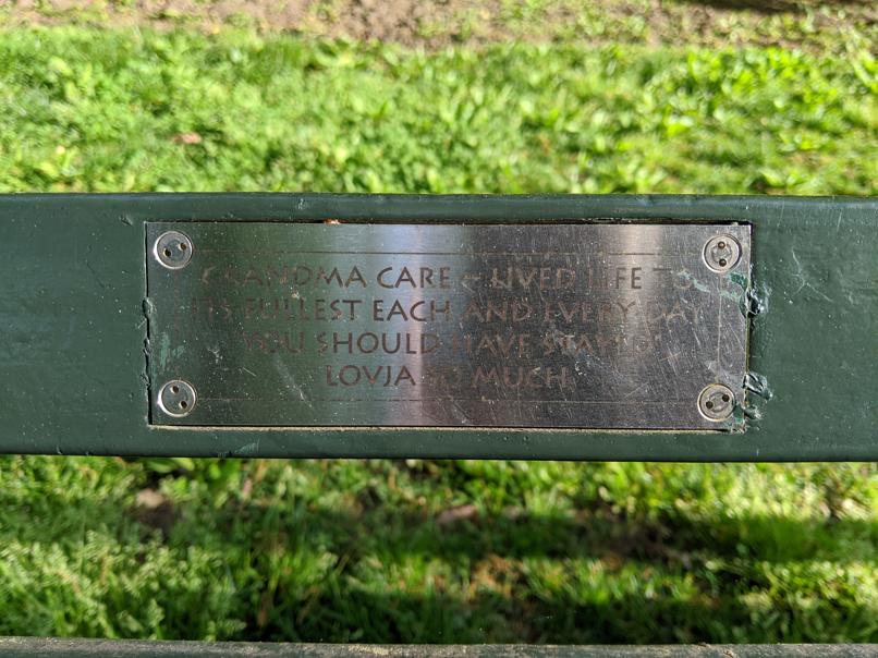 I saw this bench in Central Park