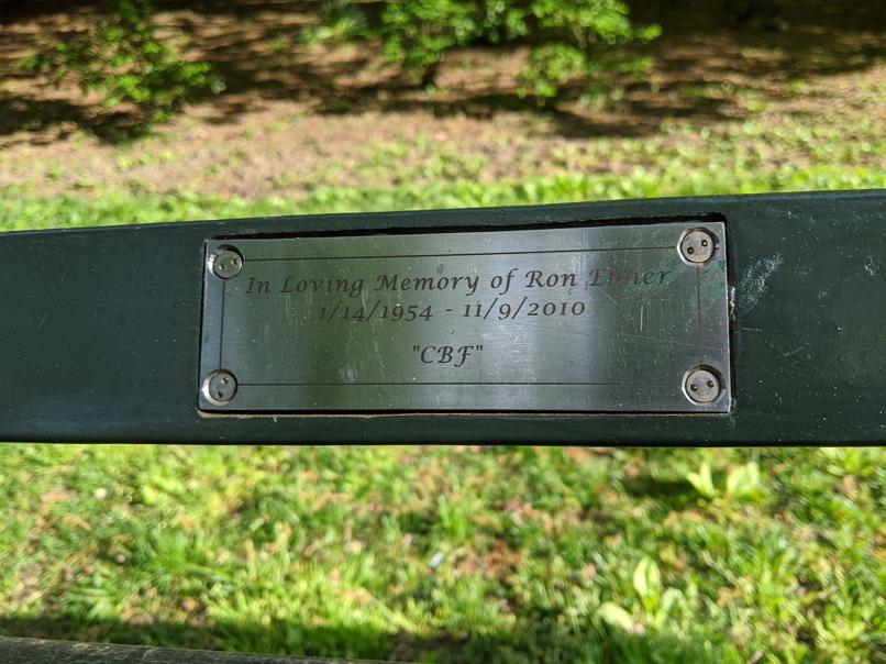 I saw this bench in Central Park