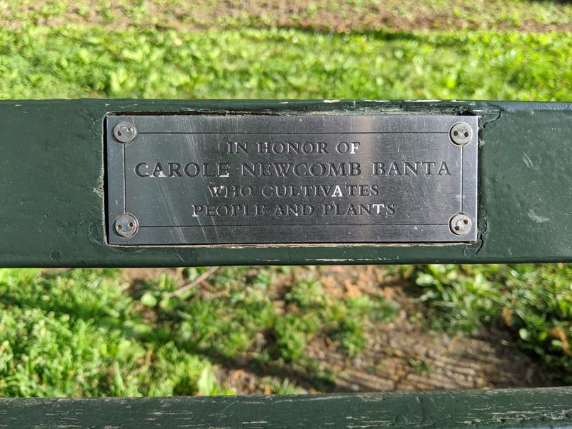 I saw this bench in Central Park