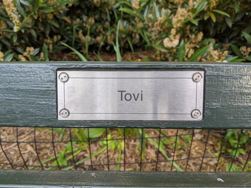 I saw this bench in Central Park