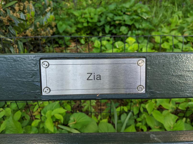 I saw this bench in Central Park