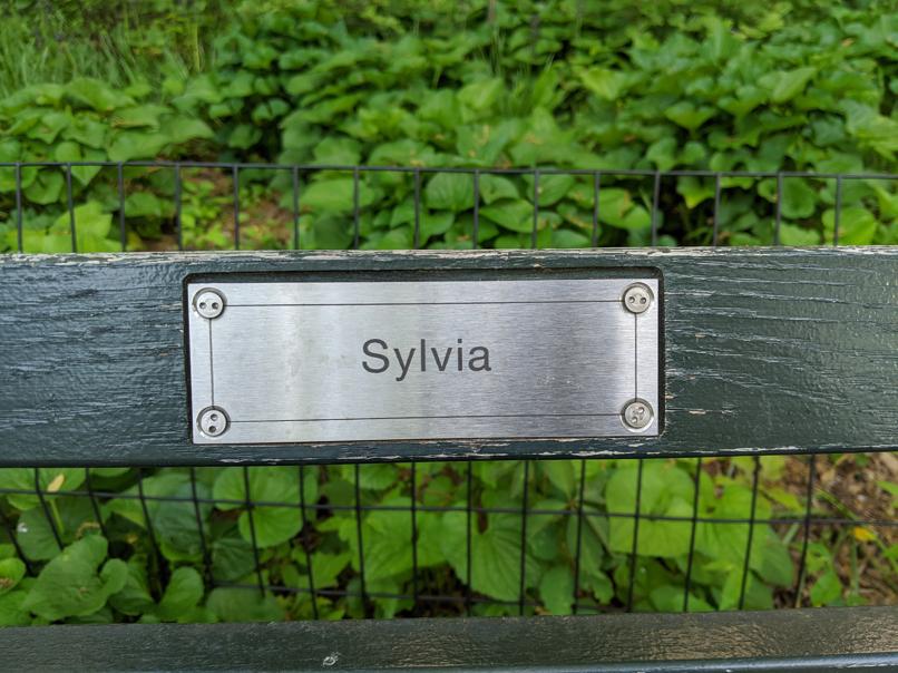 I saw this bench in Central Park