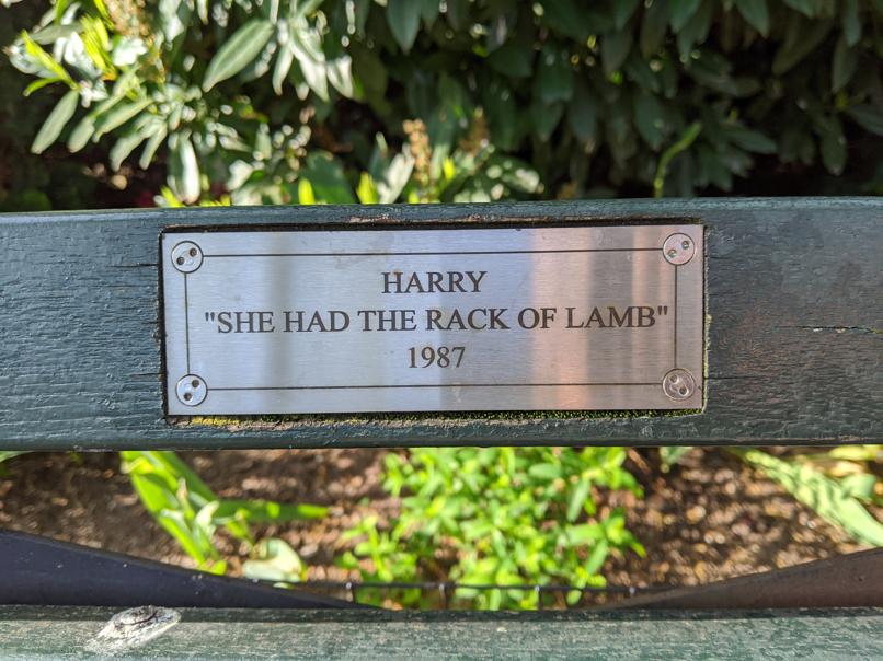 I saw this bench in Central Park