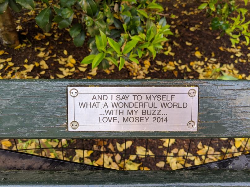 I saw this bench in Central Park