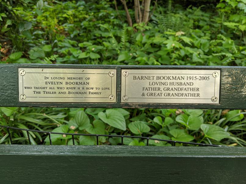 I saw this bench in Central Park