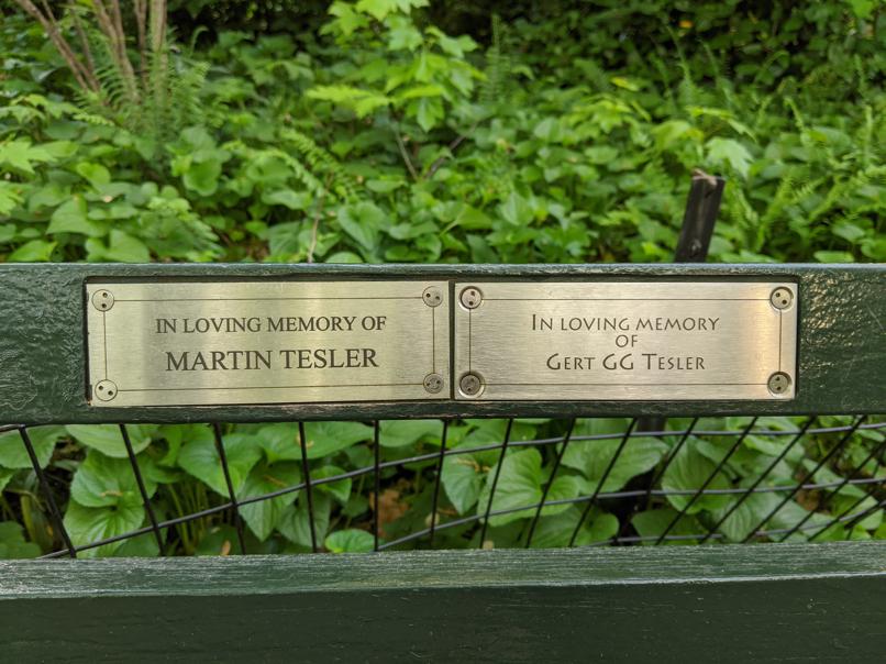 I saw this bench in Central Park