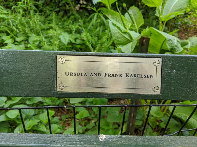 I saw this bench in Central Park