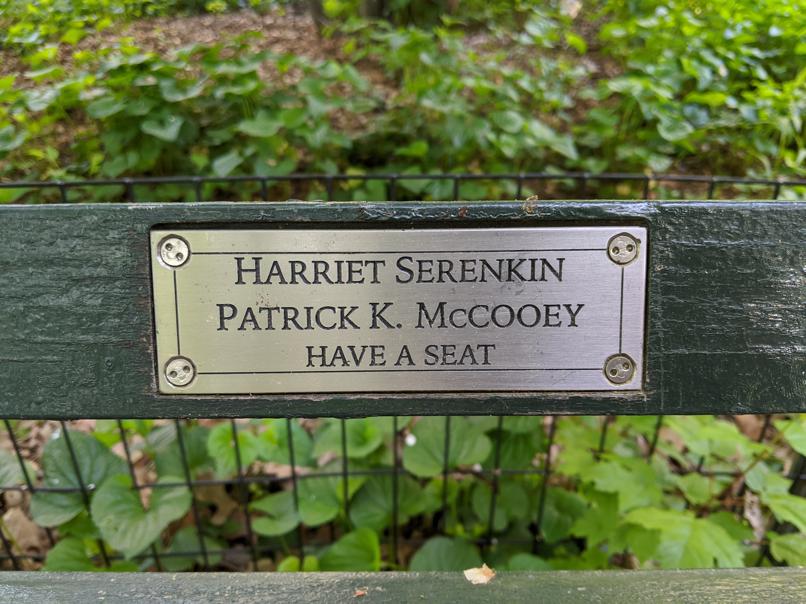 I saw this bench in Central Park