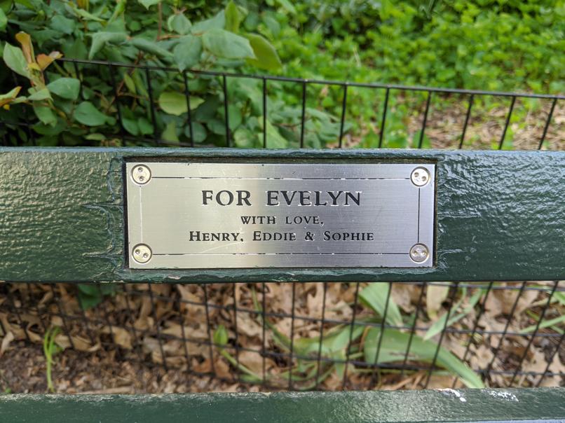 I saw this bench in Central Park