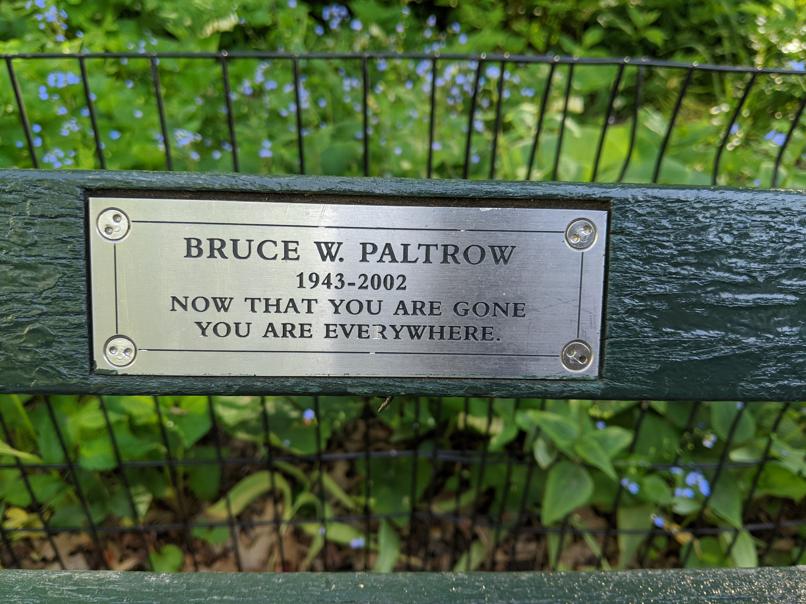 I saw this bench in Central Park