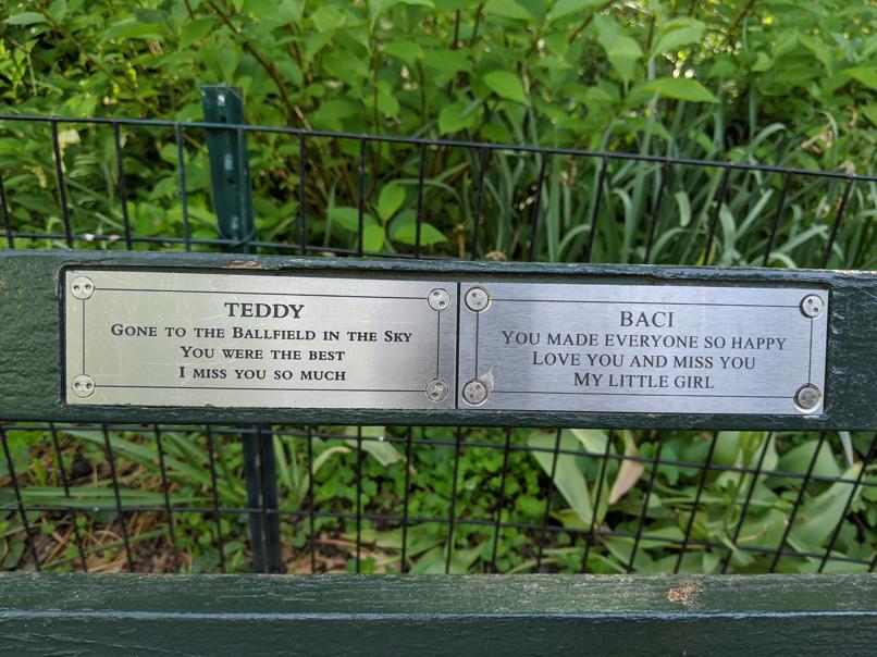 I saw this bench in Central Park