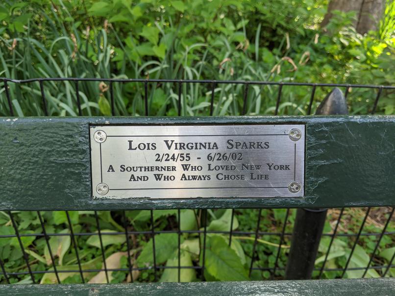 I saw this bench in Central Park